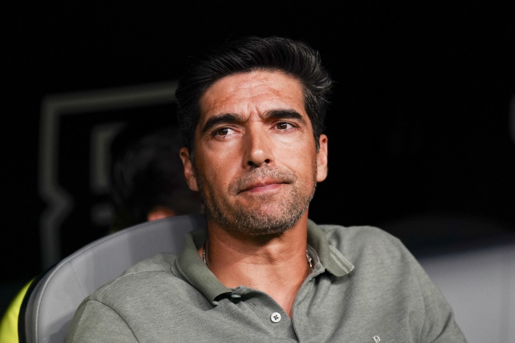 乐鱼官网-躺枪!帕尔梅拉斯主帅:如果砸钱能赢,巴黎圣日耳曼应该年年夺冠